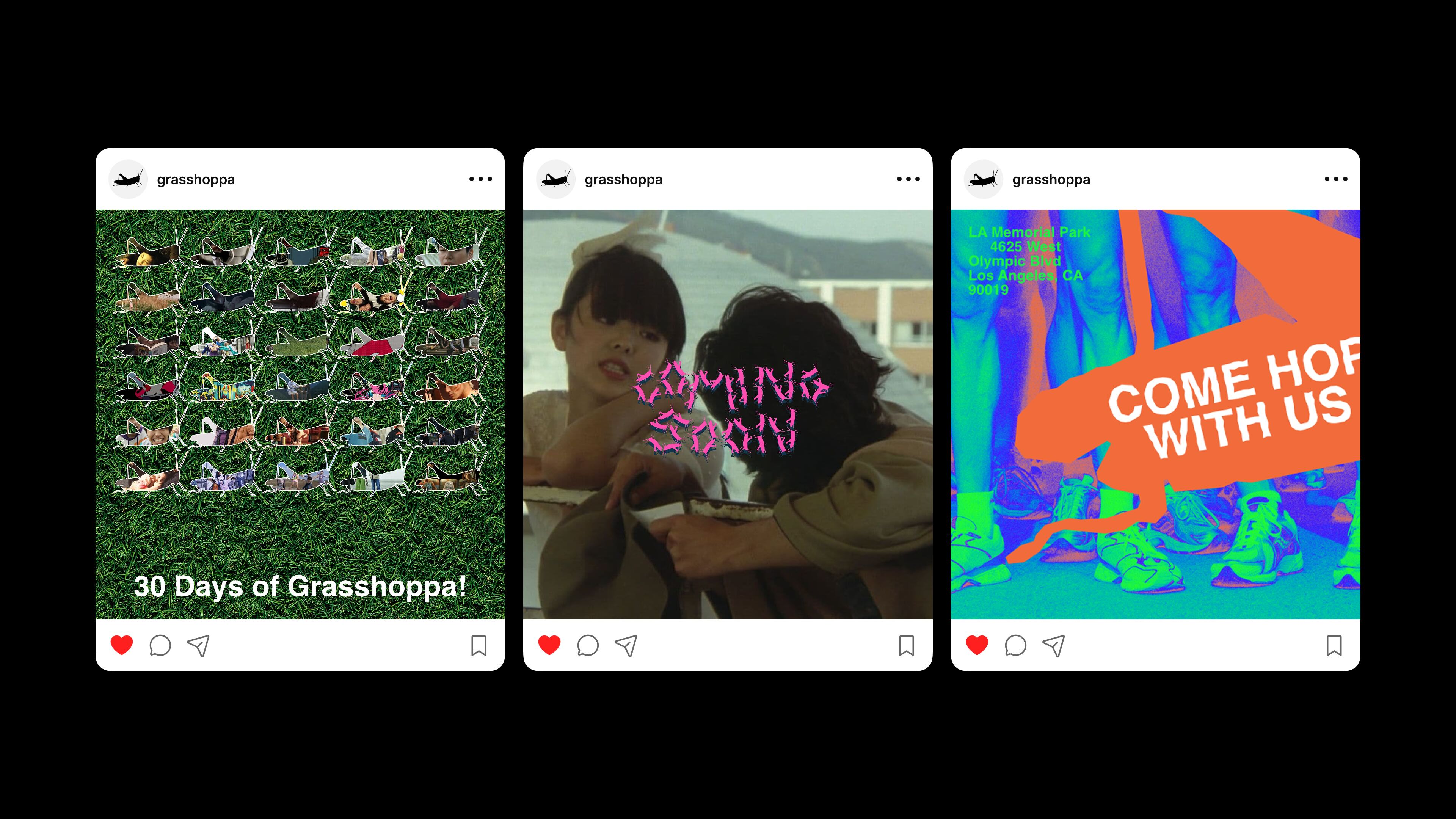 Grasshoppa!, Image 4